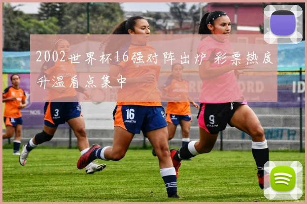 2002世界杯16强对阵出炉 彩票热度升温看点集中