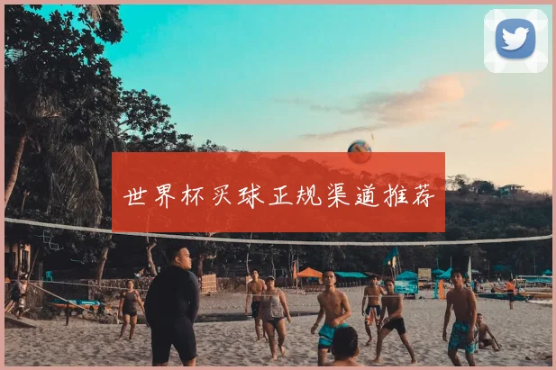 世界杯买球正规渠道推荐