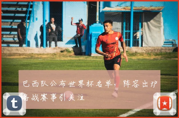 巴西队公布世界杯名单,阵容出炉备战赛事引关注