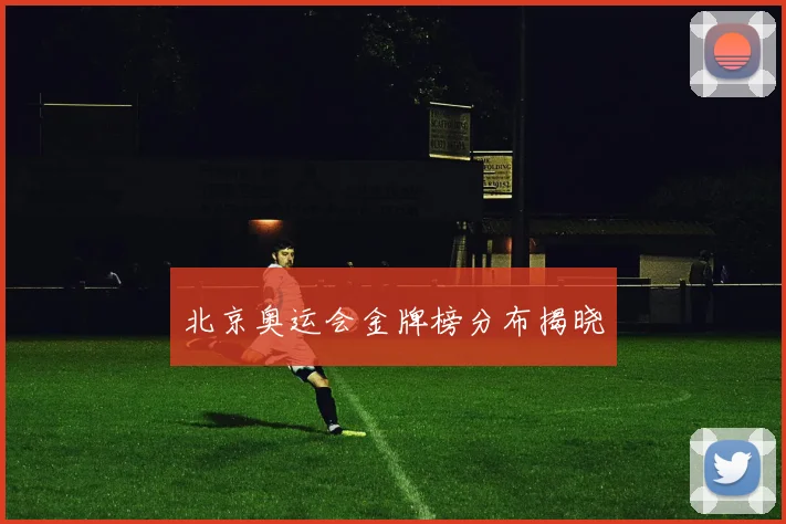 北京奥运会金牌榜分布揭晓