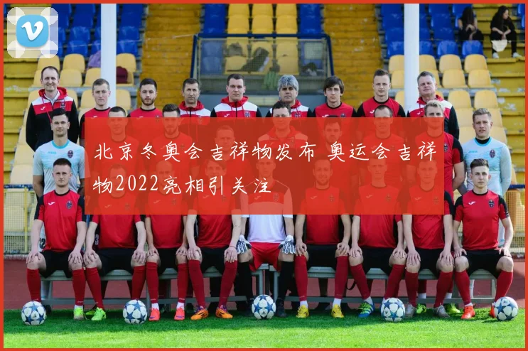 北京冬奥会吉祥物发布 奥运会吉祥物2022亮相引关注